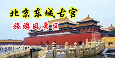 苍老师高潮不断喷水中国北京-东城古宫旅游风景区